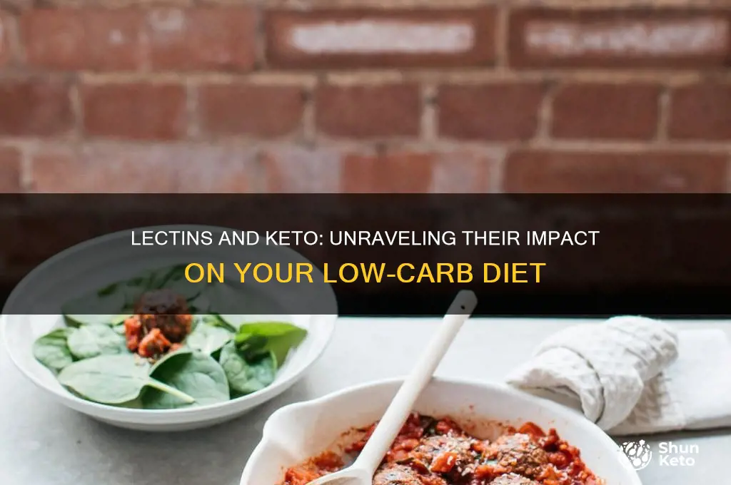 do lectins effect keto