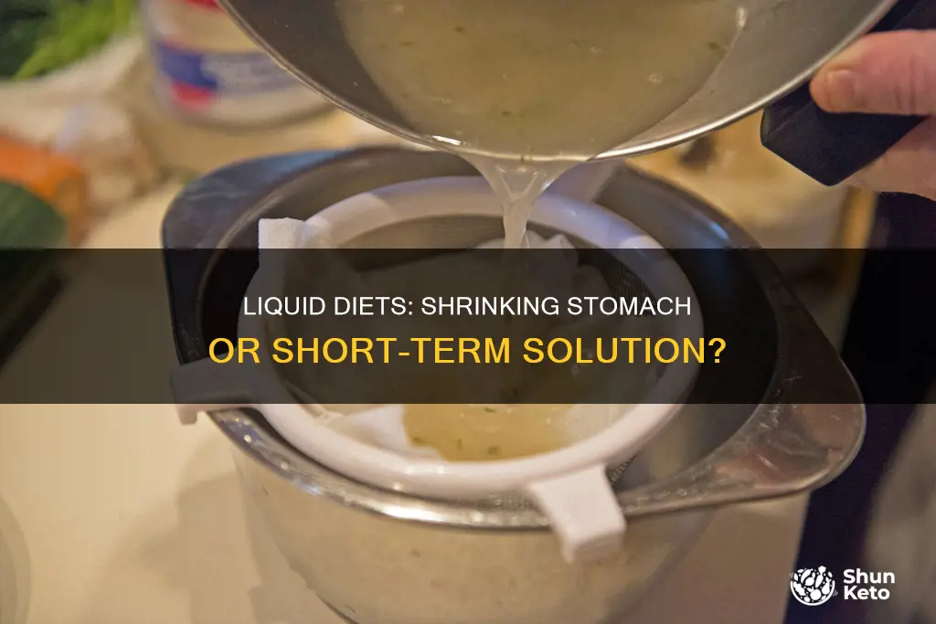 do liquid diets shrink your stomach