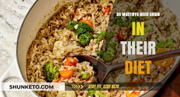 Mastiffs' Diet: Grain-Free or Grain-Inclusive?