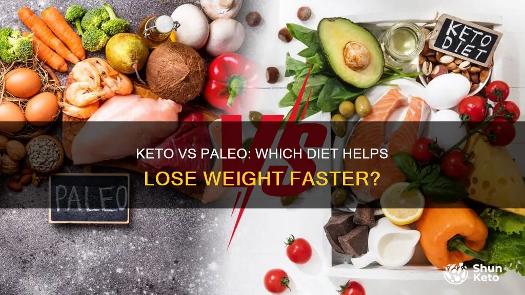 do more people lose weight on keto or paleo