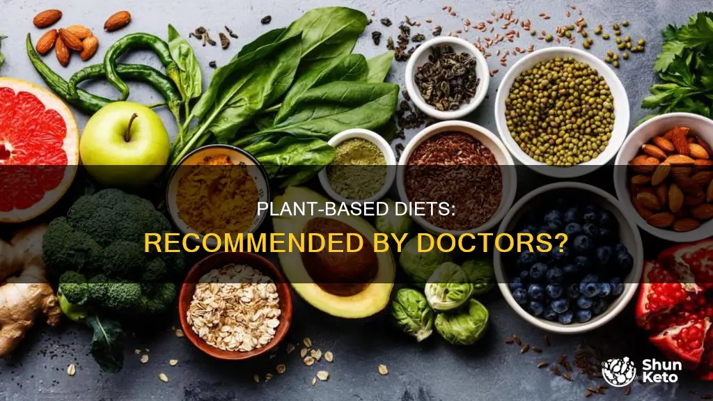 do most doctors recommend a plant based diet