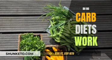 No-Carb Diets: Effective Weight Loss or Just a Fad?