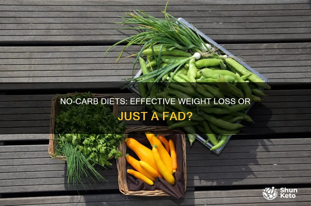 do no carb diets work