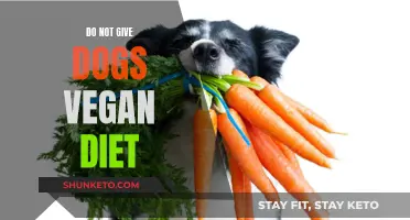 Vegan Diet: A Dangerous Choice for Your Dog's Health