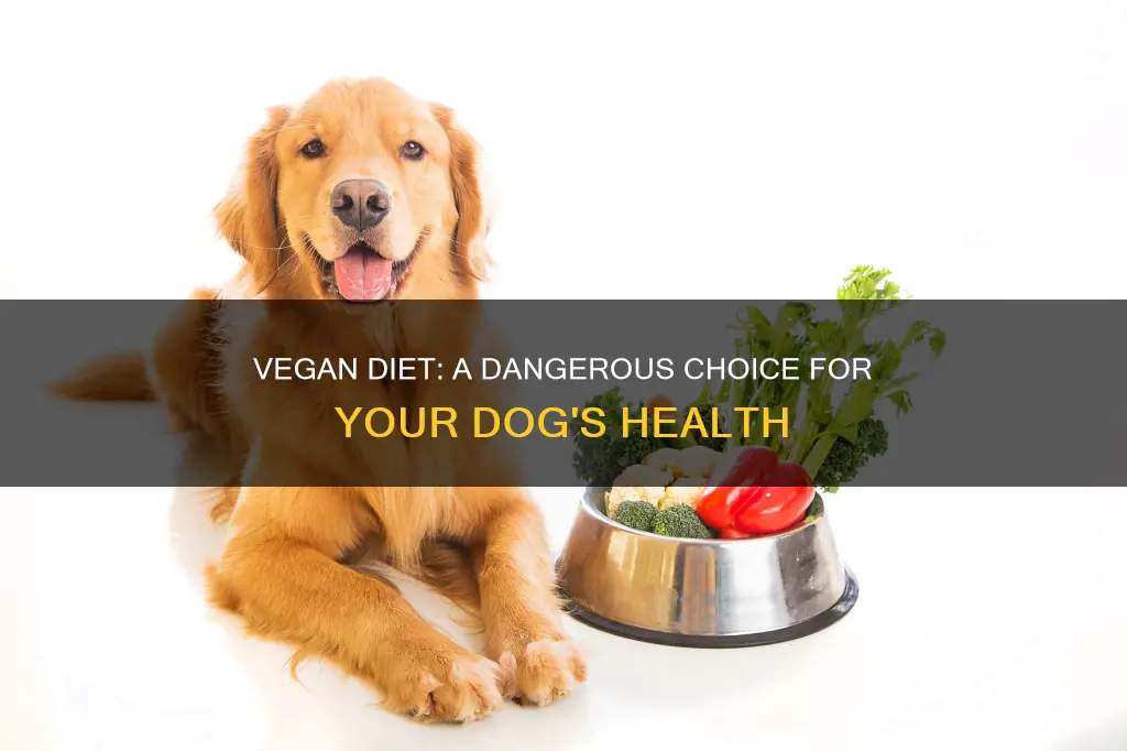 do not give dogs vegan diet