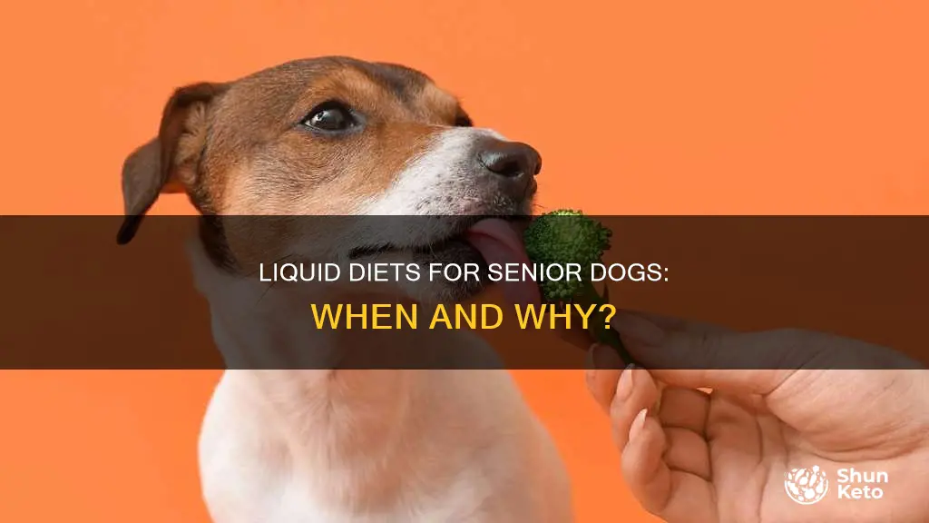 do old dogs sometimes require a liquid diet