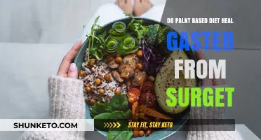 Plant-Based Diets: Surgery Recovery Superpower?