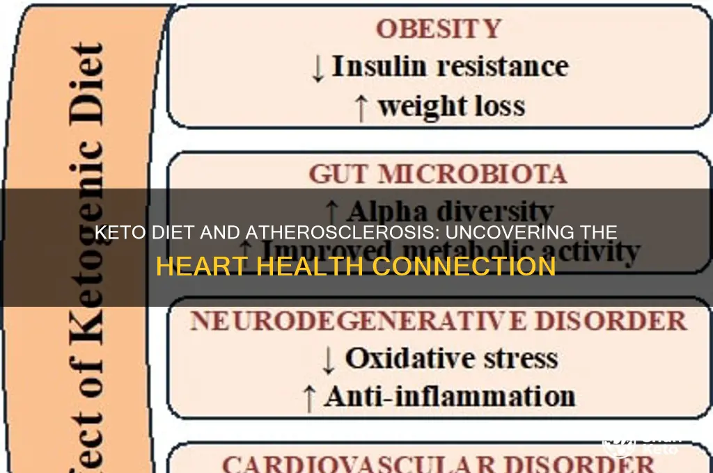 do people on keto diet have more atherosclerosis