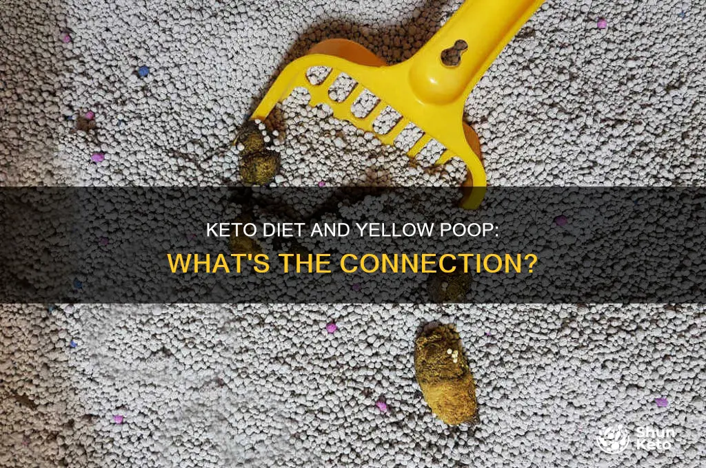 do people on keto diet have yellow poop