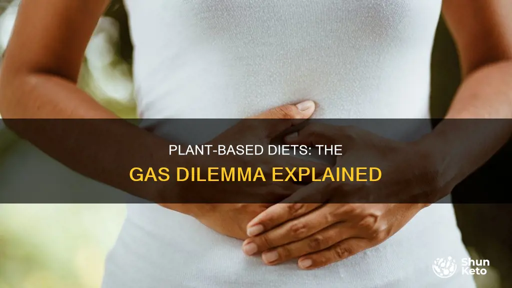 do people on plant-based diets have a lot of gas