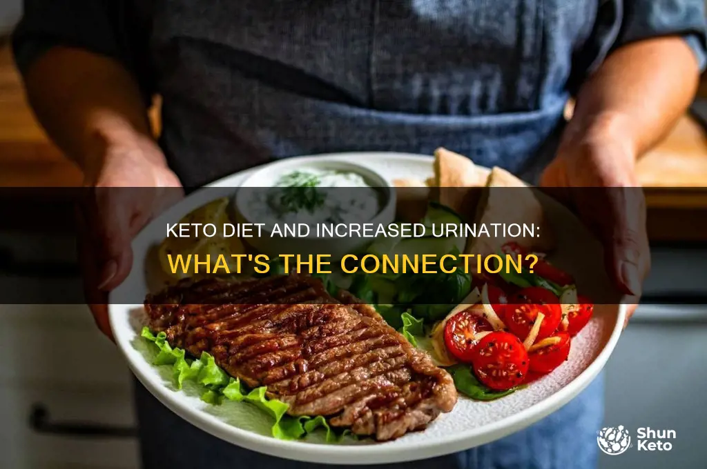 do people urinate more on the keto diet
