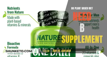 Plant-Based Diets: B-Supplements, Are They Necessary?