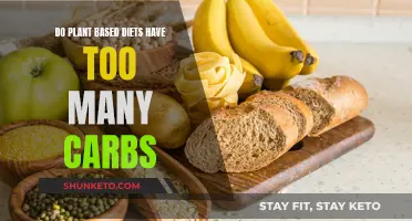 Plant-Based Diets: Carb-Heavy or Balanced?