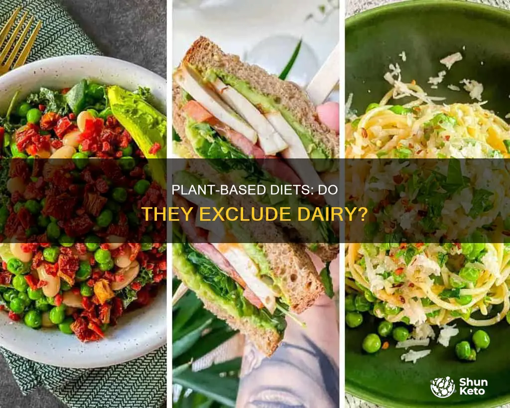 do plant based diets include dairy