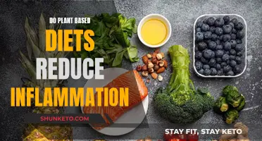 Plant-Based Diets: Reducing Inflammation, Improving Health