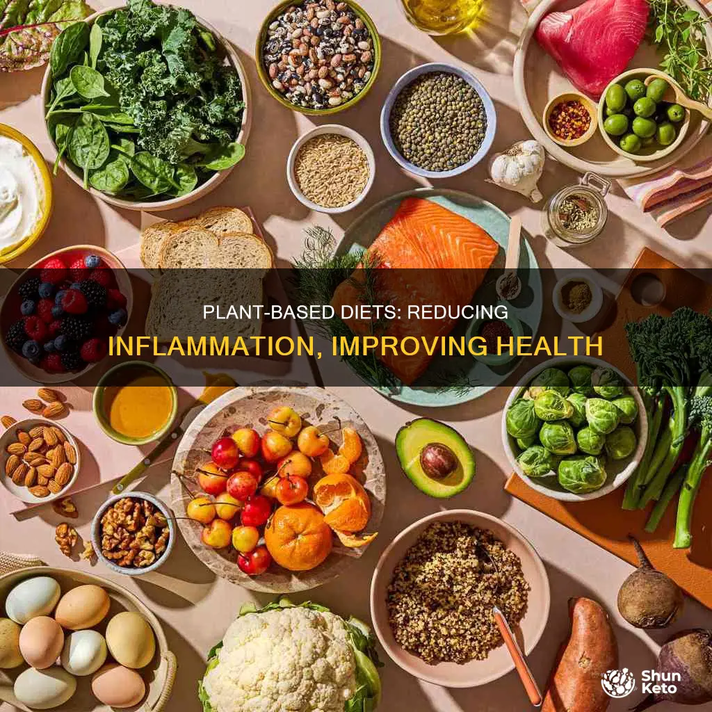 do plant based diets reduce inflammation