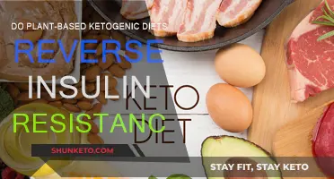 Plant-Based Keto: Reversing Insulin Resistance