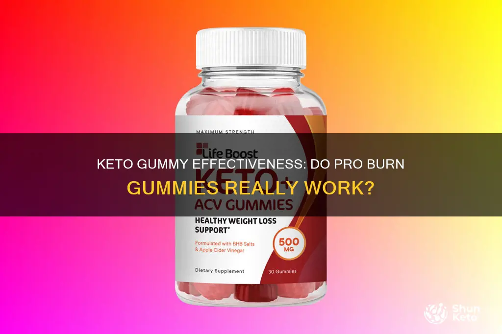 do pro burn keto gummies work