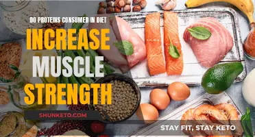 Protein Power: Dietary Intake and Muscle Strength Connection