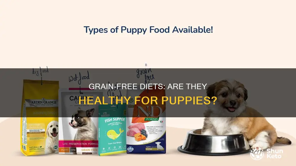 do puppies need grain in diet