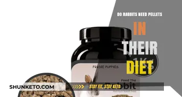 Rabbit Diet: Are Pellets Necessary?