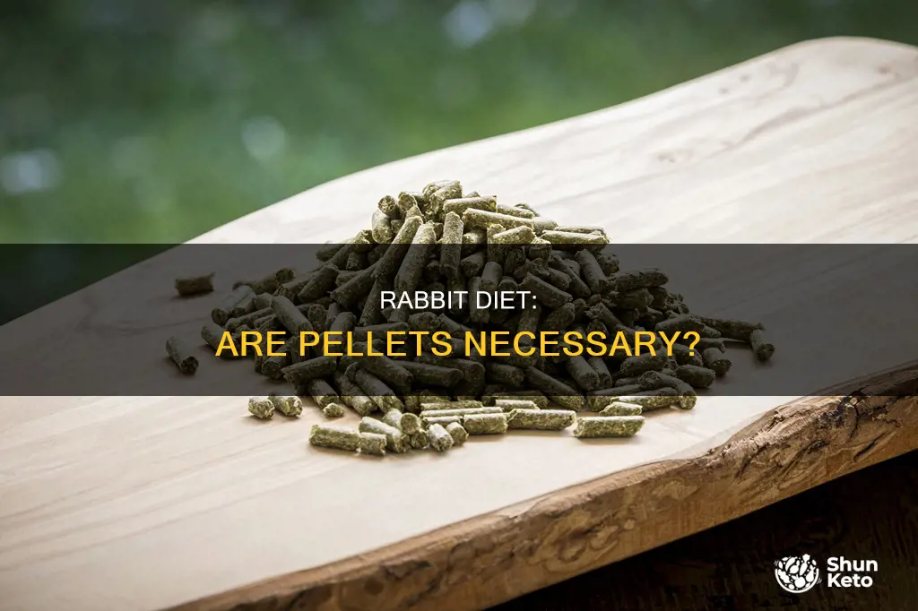 do rabbits need pellets in their diet