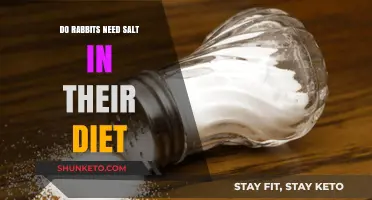 Salt in Rabbit Diet: Good or Bad?