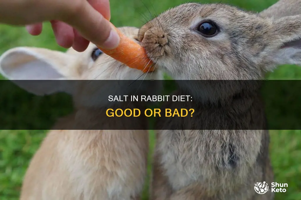 do rabbits need salt in their diet