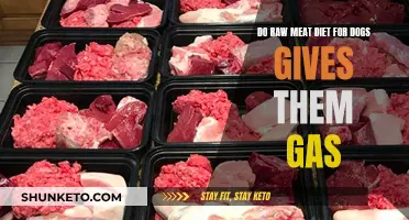 Raw Meat Diets: Do They Cause Gas in Dogs?