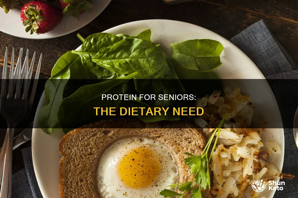 do seniors need more protein in their diet