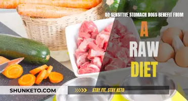 Raw Diet Benefits for Dogs With Sensitive Stomachs