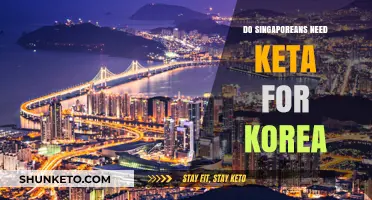 Do Singaporeans Need KETA for Korea? Travel Requirements Explained