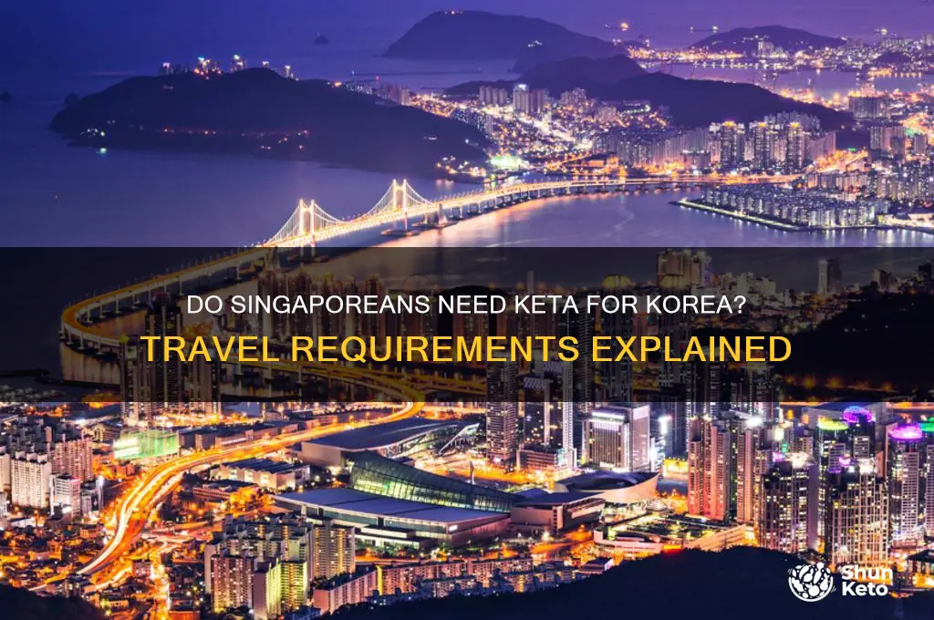 do singaporeans need keta for korea