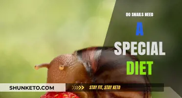 Snail Diet: What Snails Eat and Why