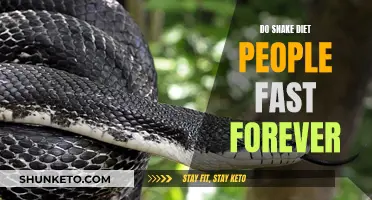Snake Diet: Forever Fasting or Sustainable Weight Loss?