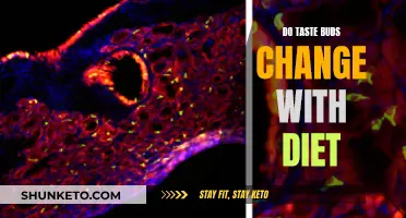 Taste Buds: Diet's Impact and Your Changing Palate