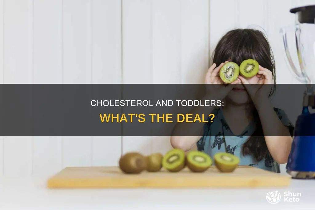 do toddlers need cholesterol in the diet