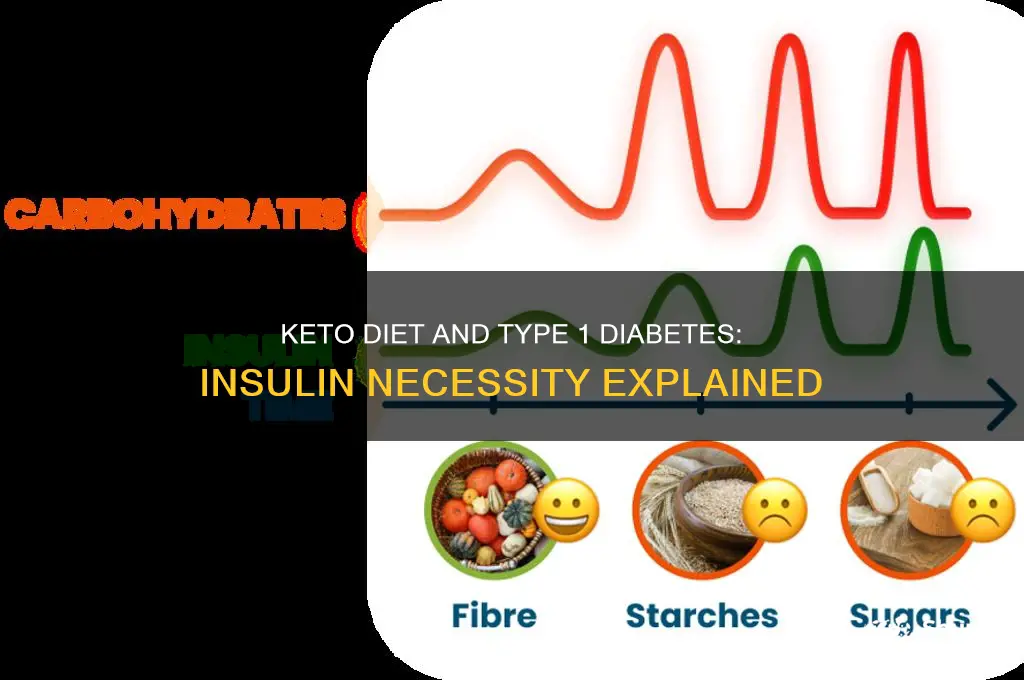do type 1 diabetics need insulin with keto diet