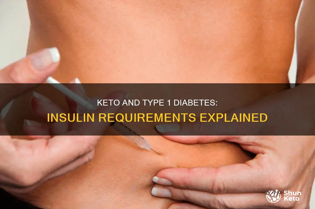 do type 1 diabetics on keto need insulin