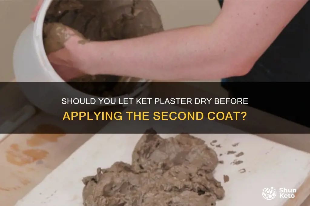 do u ket plaster dry before senmcind coat