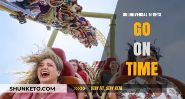 Do Universal Tickets Ensure Timely Entry? Exploring Park Access Efficiency