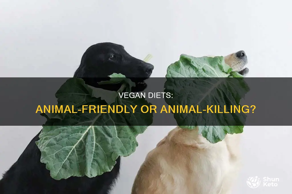 do vegan diets kill animals