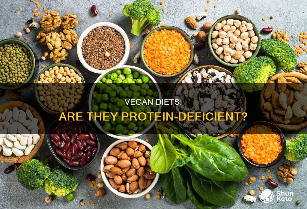 do vegan diets lack protein