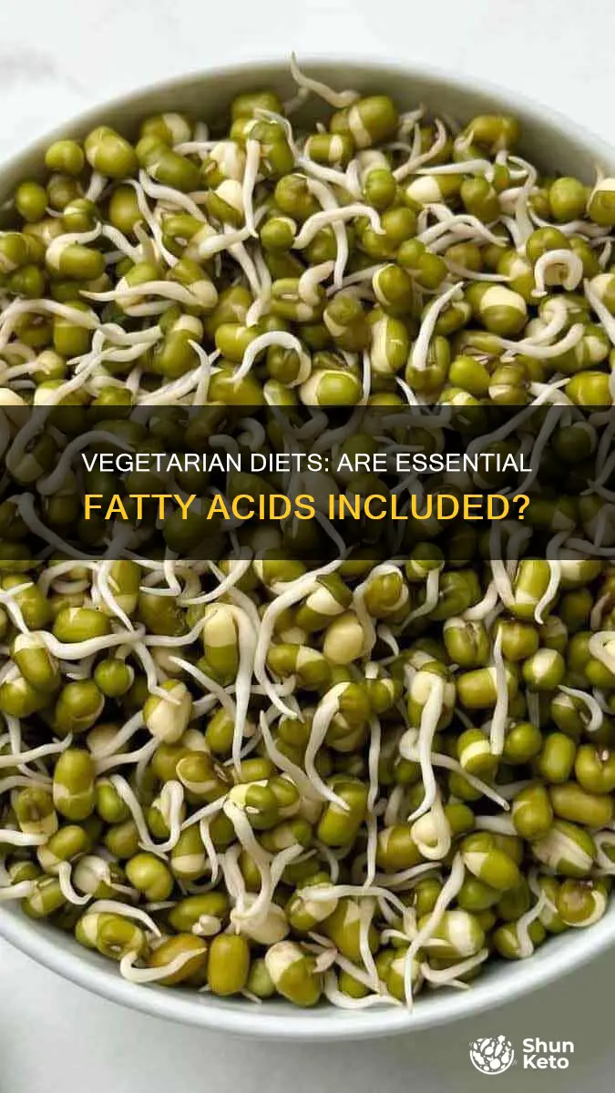do vegetarian diets include essential fatty acids