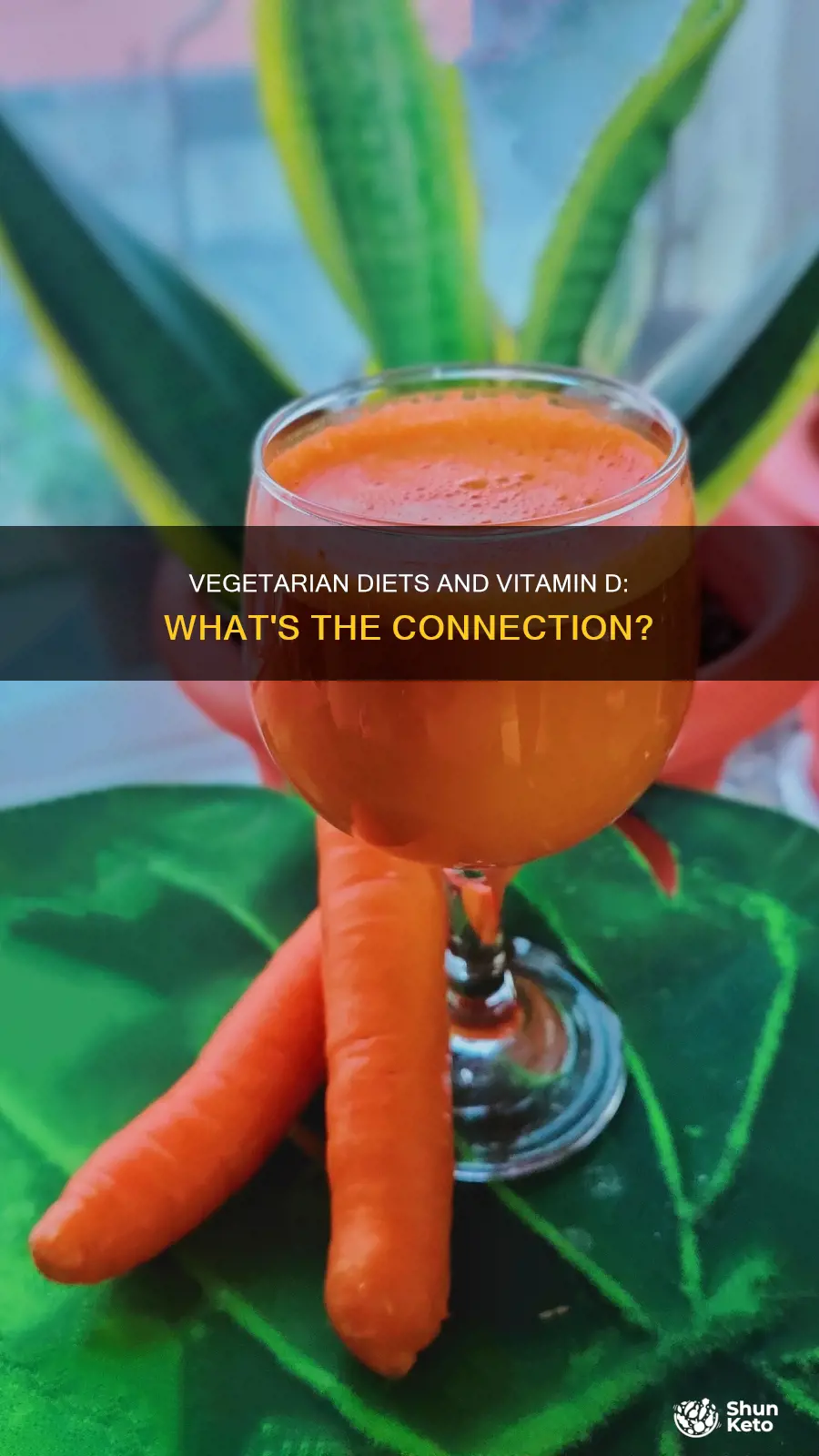 do vegetarian diets lack vitamin d