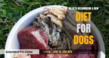 Vets Weigh in on Raw Diets for Dogs