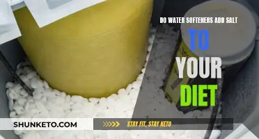 Salt in Your Diet: Water Softeners and You