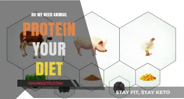 Animal Protein: Essential or Unnecessary?