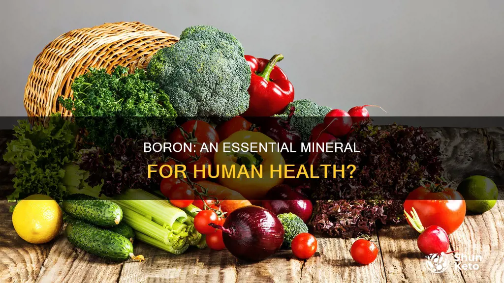 do we need boron in our diet