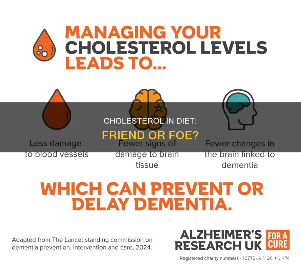 do we need choletserol in the diet